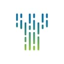 CyberFortress logo